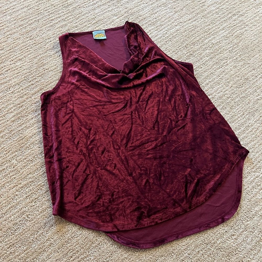 C&C California Red Velour Blouse